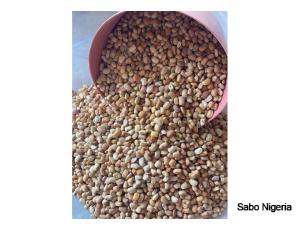 honey beans per congo